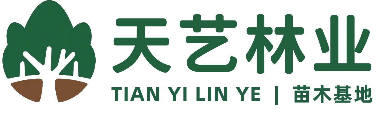 天艺林业